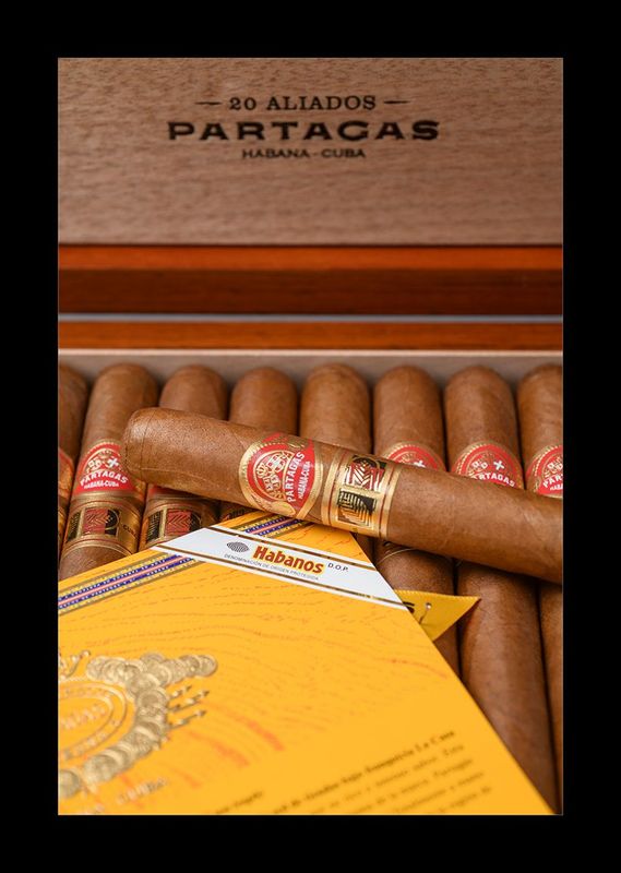 Partagás Aliados - Image 5