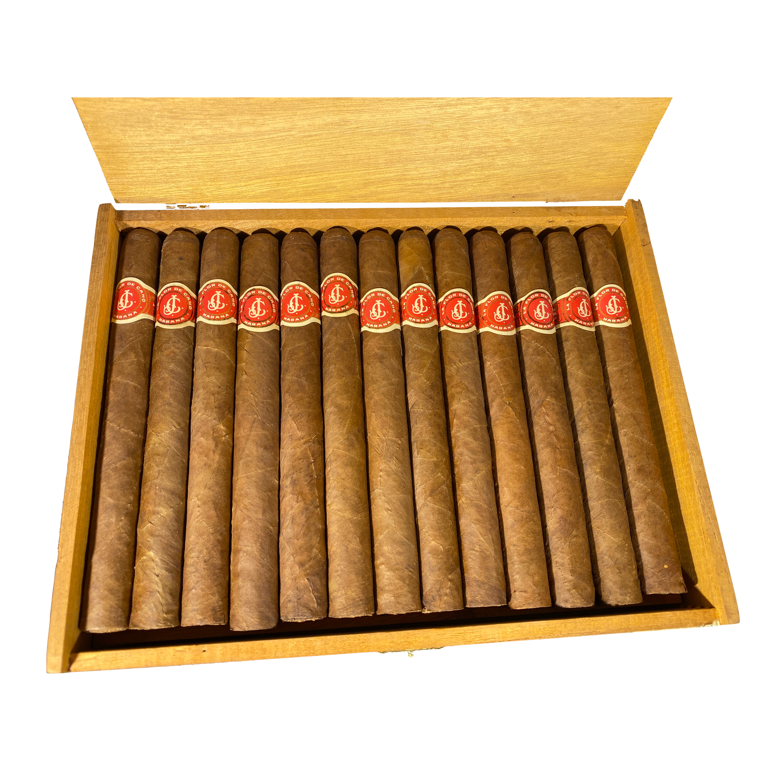 Flor de Cano Diademas 1991 - Image 6