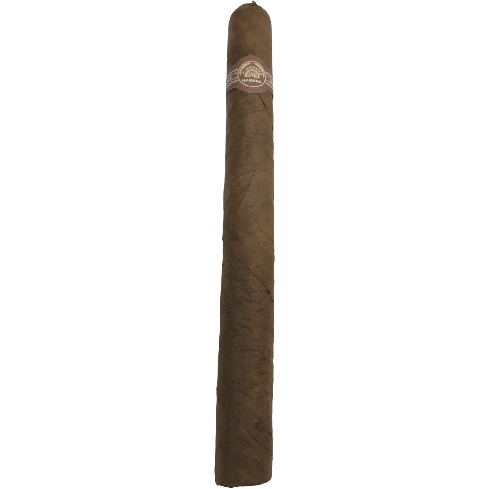 H. Upmann Sir Winston 2003 - Image 4