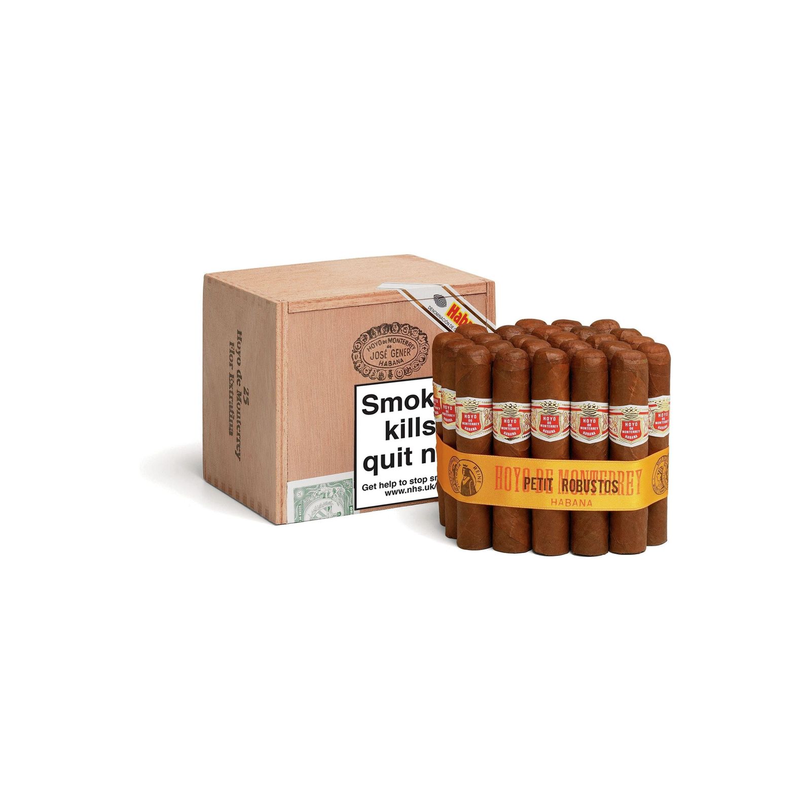 Hoyo De Monterrey Petit Robustos - Image 3