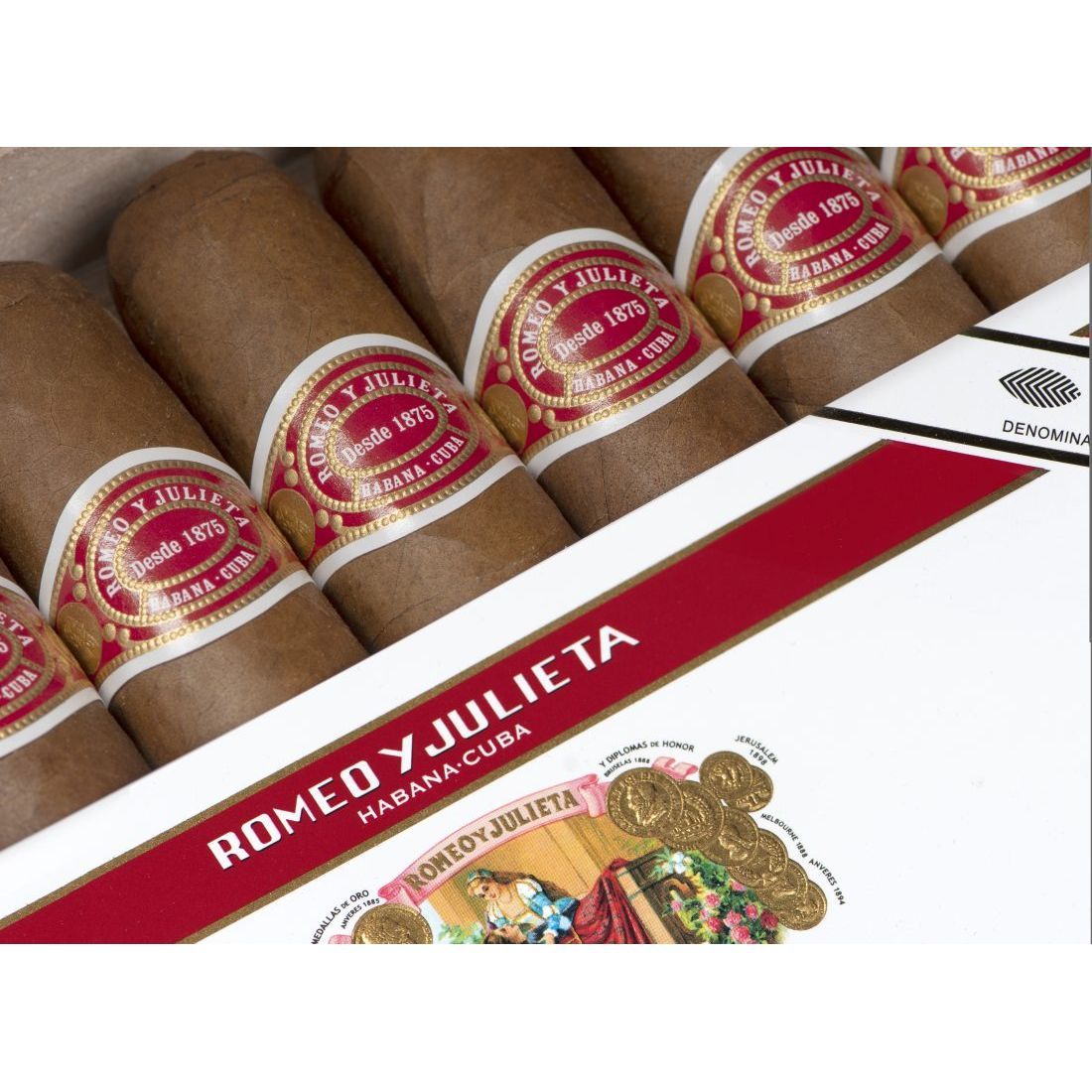 Romeo y Julieta Maravilla - Year of the Rat 2020 - Image 4