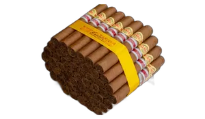 Diplomaticos Genios Regional Edition Phoenicia 2023 alternate view