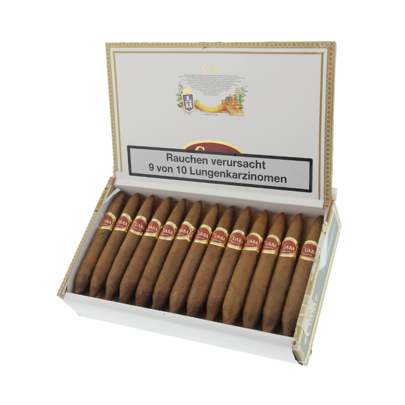 Cuaba Tradicionales - Image 2