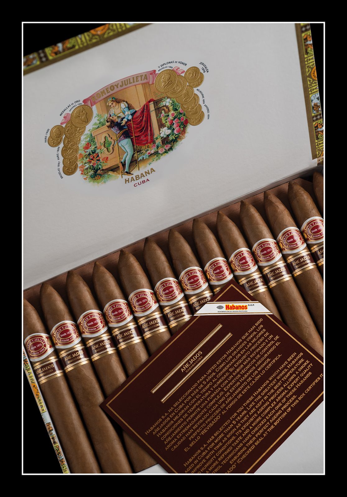 Romeo y Julieta Pirámides Añejados