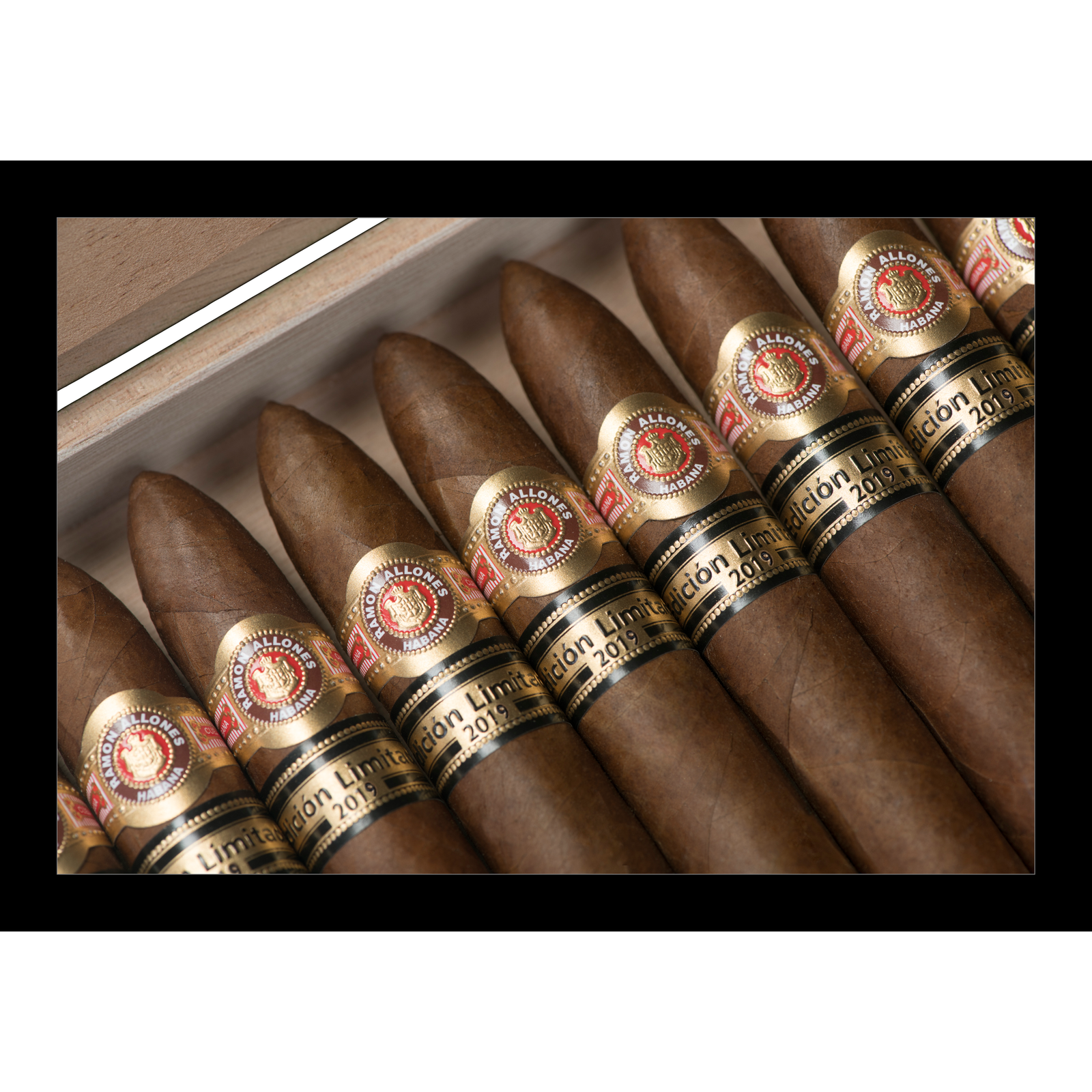 Ramon Allones Allones No.2 Limited Edition 2019 - Image 21